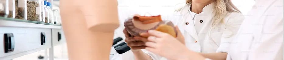 Automação do Mapeamento de Processos Financeiros com IA